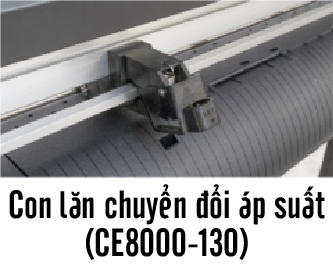 INFO 01