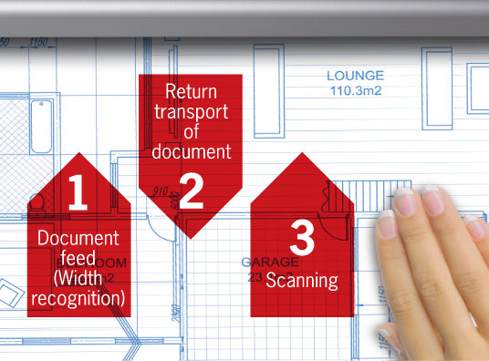 auto width recognition standard en